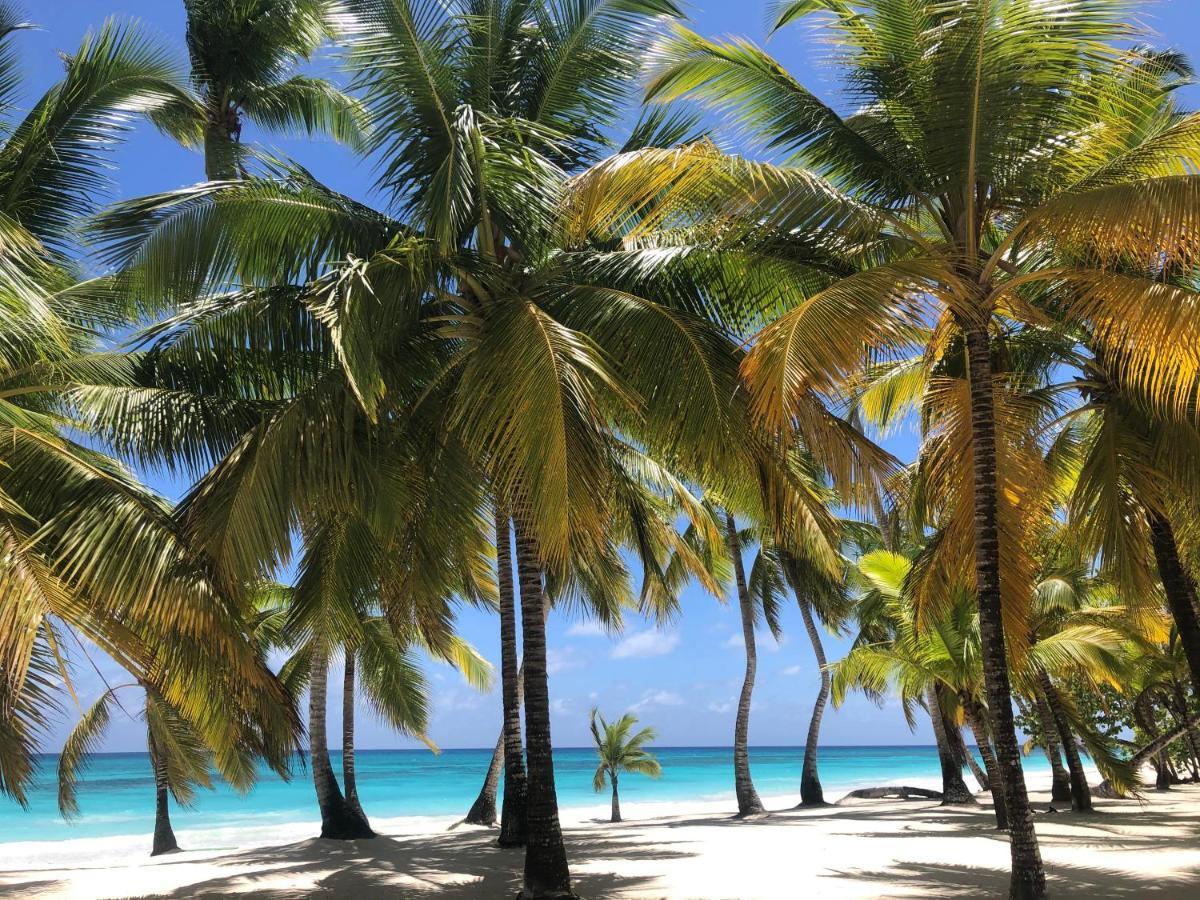 Bayahibe Village Inn ภายนอก รูปภาพ
