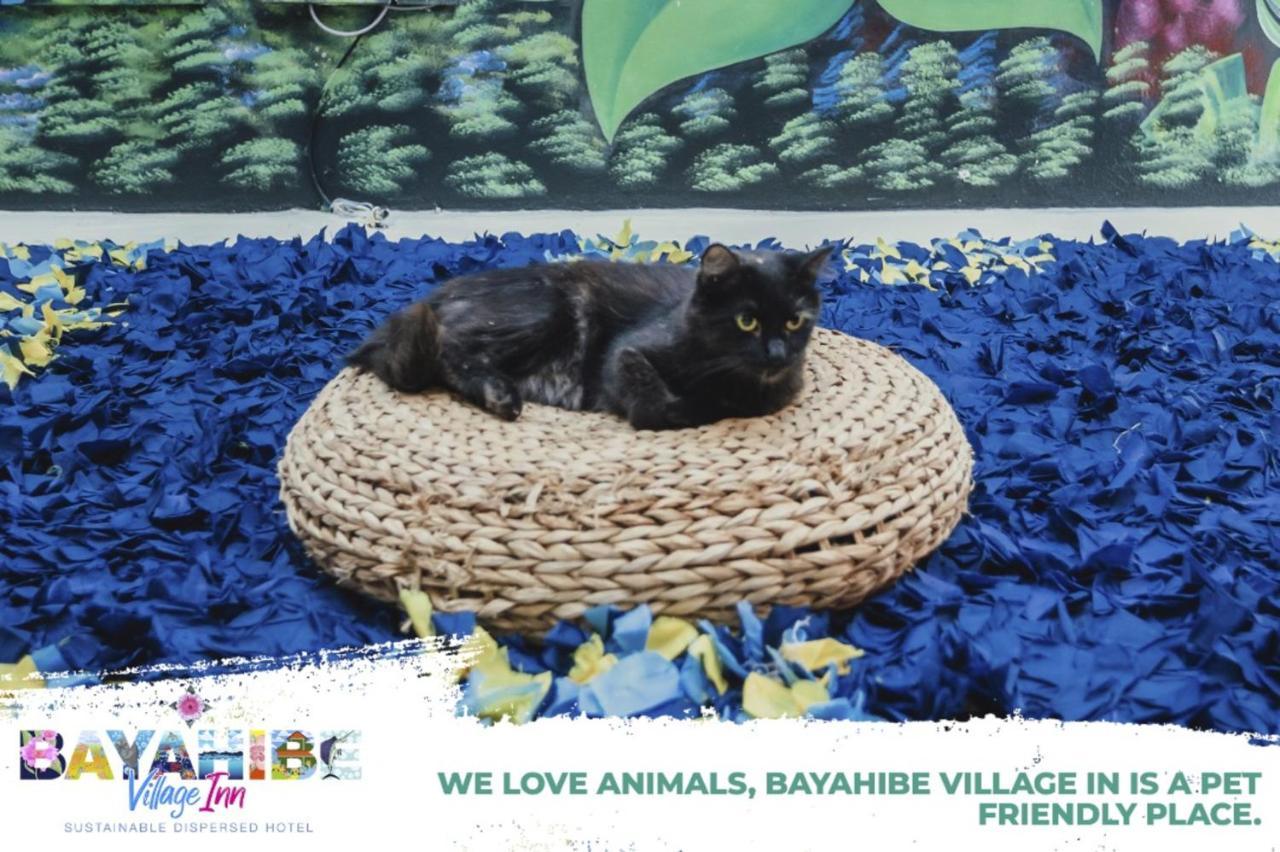 Bayahibe Village Inn ภายนอก รูปภาพ